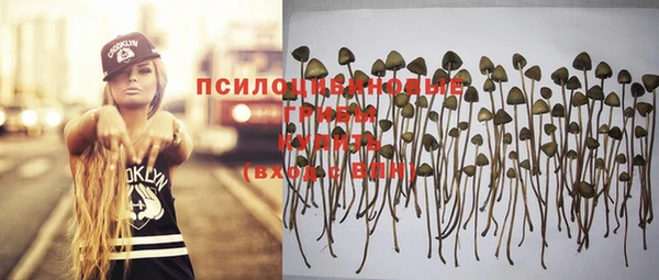 соль курить ск Аркадак