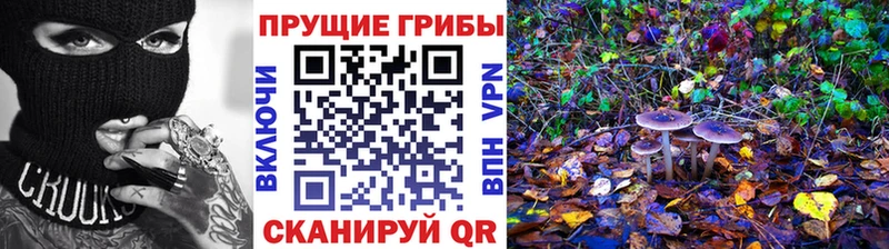купить закладку  darknet Telegram  Псилоцибиновые грибы мухоморы  Ачхой-Мартан 
